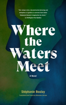 Image for Where The Waters Meet : A Novel