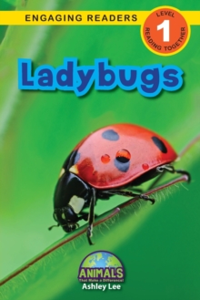 Image for Ladybugs