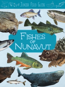 Image for Junior Field Guide: Fishes of Nunavut : English Edition