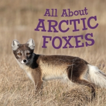 Image for All About Arctic Foxes