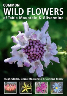 Image for Common Wild Flowers of Table Mountain & Silvermine