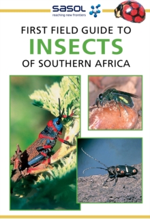 Image for First Field Guide to Insects of Southern Africa