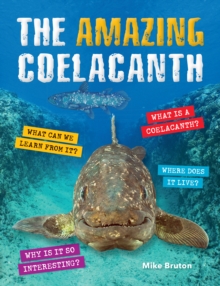 Image for Amazing Coelacanth