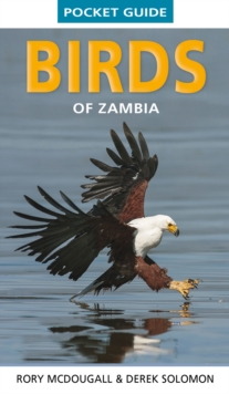 Image for Pocket Guide Birds of Zambia