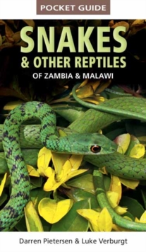 Image for Pocket Guide to Snakes & Other Reptiles of Zambia and Malawi