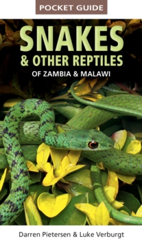 Image for Pocket Guide Snakes & Other Reptiles of Zambia & Malawi