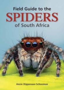 Image for Field Guide to the Spiders of South Africa