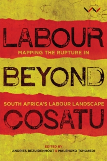Image for Labour beyond Cosatu  : mapping the rupture in South Africa's labour landscape
