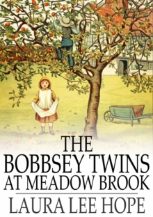 Image for The Bobbsey Twins at Meadow Brook