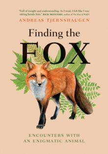 Image for Finding the Fox