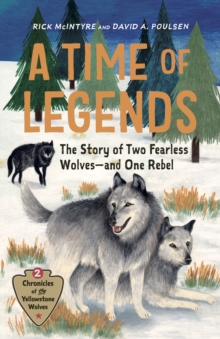 Time of Legends