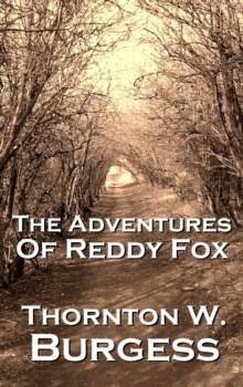 Image for Adventures Of Reddy Fox