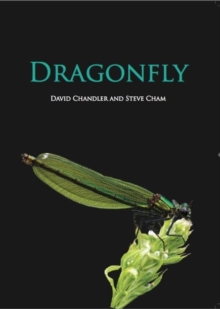 Image for Dragonfly