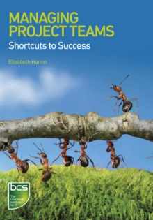 Image for Managing Project Teams: Shortcuts to success