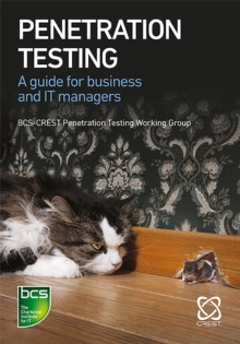 Image for Penetration testing  : a guide for business and IT managers
