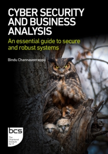 Image for Cyber security and business analysis  : an essential guide to secure and robust systems