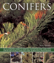 Image for Conifers  : an illustrated guide to varieties, cultivation and care, with step-by-step instructions