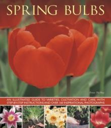 Image for Spring Bulbs