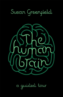 Image for The human brain