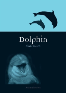 Image for Dolphin