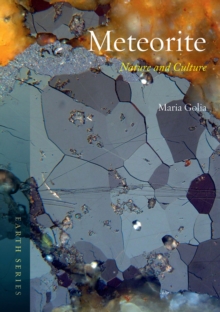 Image for Meteorite