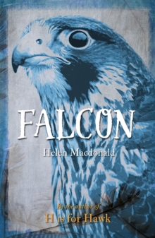 Falcon