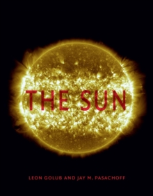 Image for The sun