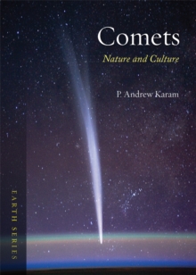Image for Comets: nature and culture