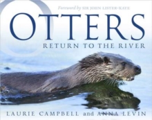 Image for Otters  : return to the river