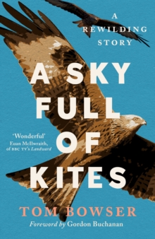 Image for A Sky Full of Kites