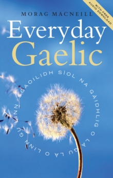 Image for Everyday Gaelic