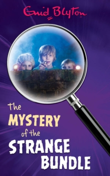 Image for The mystery of the strange bundle