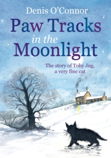 Image for Paw Tracks in the Moonlight