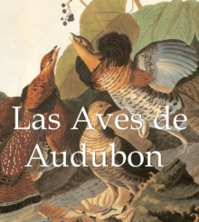 Image for Las Aves de Audubon: Mega Square