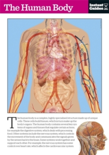 Image for The Human Body : The Instant Guide