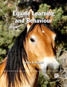 Image for Equine learning and behaviour