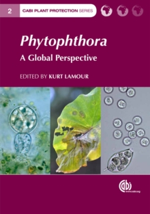 Image for Phytophthora  : a global perspective