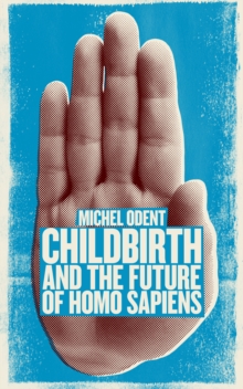 Image for Childbirth and the evolution of homo sapiens