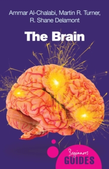 Image for The brain: a beginner's guide