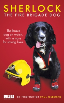 Image for Sherlock  : the fire brigade dog