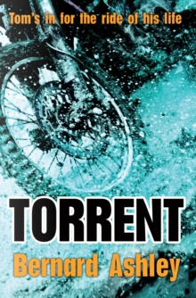 Image for Torrent