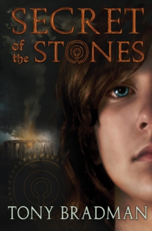 Image for Secret of the Stones