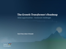 Image for Growth Transformer's Roadmap: Seize opportunities - Surmount challenges