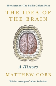Idea of the Brain