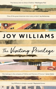 Image for The visiting privilege  : new and collected stories