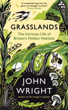 Grasslands - Wright, John