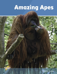 Amazing Apes: Set 2