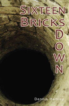 Image for Sixteen Bricks Down