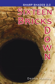 Image for Sixteen Bricks Down  (Sharp Shades)