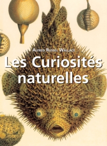 Image for Les Curiosites naturelles